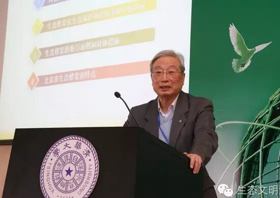 沈國舫.jpg